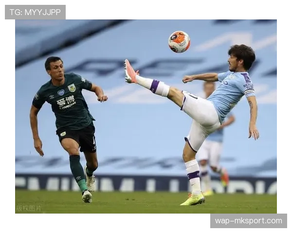 足球流氓治理新规出台，意甲赛场安全措施全面升级